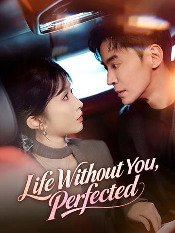 Life Without You, Perfected