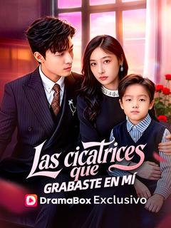 Las cicatrices que grabaste en mí