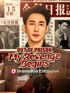 Out of Prison, My Revenge Begins