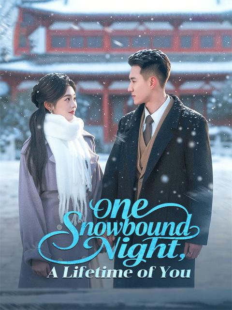 One Snowbound Night, A Lifetime of You