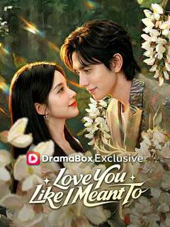 Love You Like I Meant To