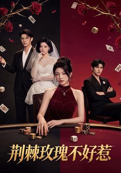 荆棘玫瑰不好惹 - Drama Series Cover