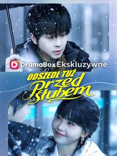Odszedł tuż przed ślubem - Drama Series Cover