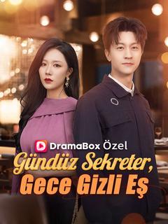 Gündüz Sekreter, Gece Gizli Eş