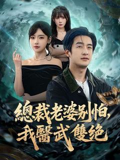 總裁老婆別擔心，我醫武雙絕