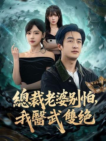 總裁老婆別擔心,我醫武雙絕