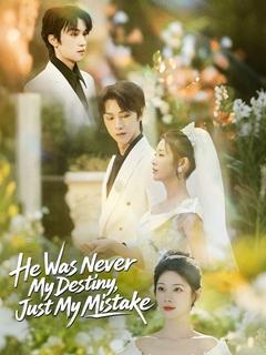 He Was Never My Destiny, Just My Mistake