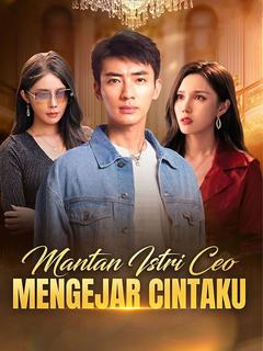Mantan Istri CEO Mengejar Cintaku