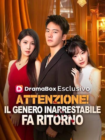 Attenzione! Il Genero Inarrestabile Fa Ritorno (Doppiato)