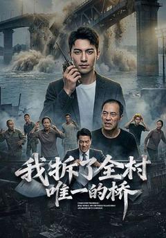 我拆了全村唯一的橋