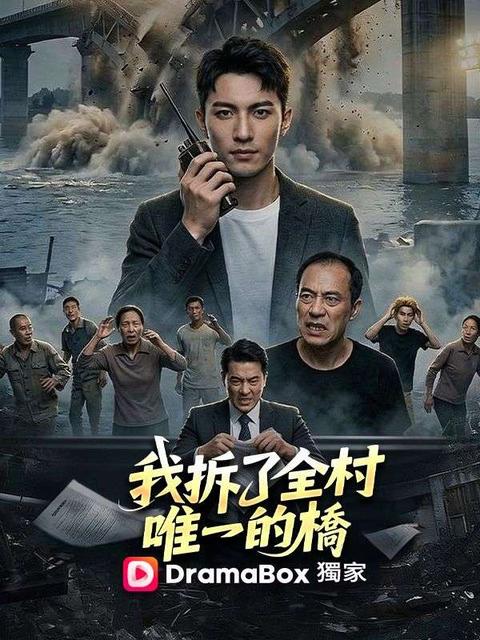 我拆了全村唯一的橋