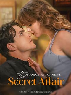 The Divorce Attorney's Secret Affair