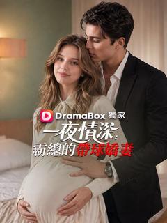 一夜情深:霸總的帶球嬌妻