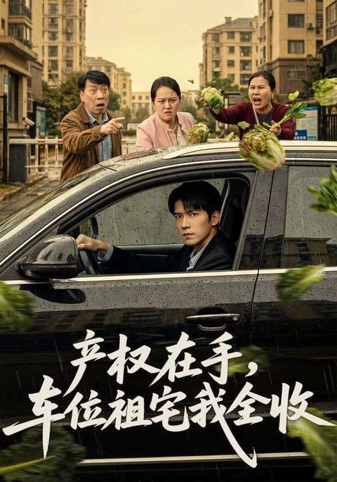 产权在手,车位祖宅我全收