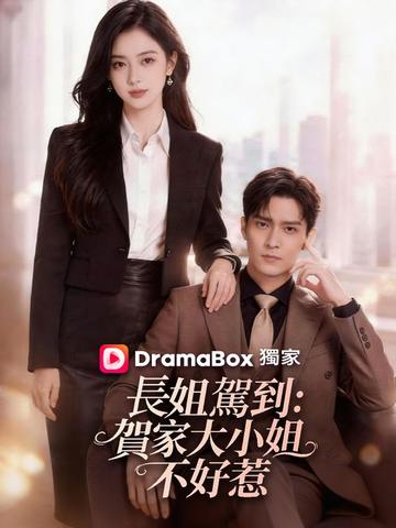 長姐駕到:賀家大小姐不好惹