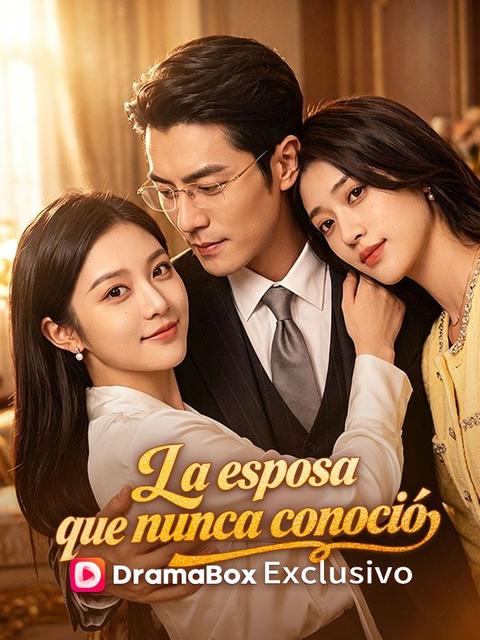 La esposa que nunca conoció