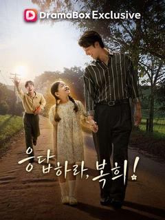 응답하라, 복희