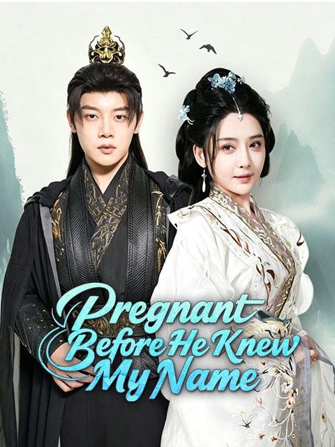 Pregnant Before He Knew My Name