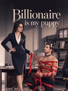 Billionaire is my puppy