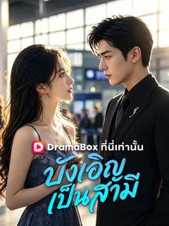 บังเอิญเป็นสามี