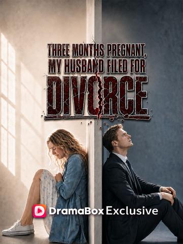 Three Months Pregnant, My Husband Filed For Divorce