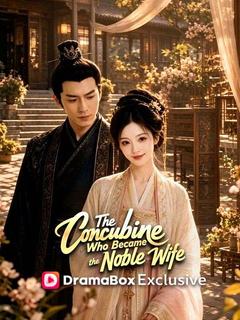 The Concubine Who Became the Noble Wife