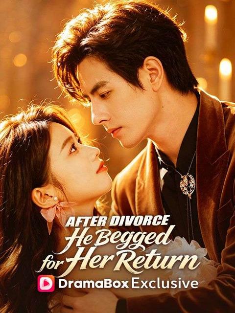 After Divorce, He Begged for Her Return