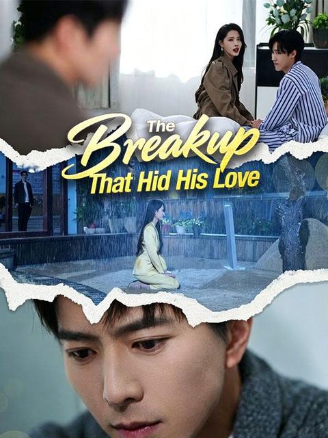 The Breakup That Hid His Love