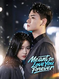 Meant to Love You Forever