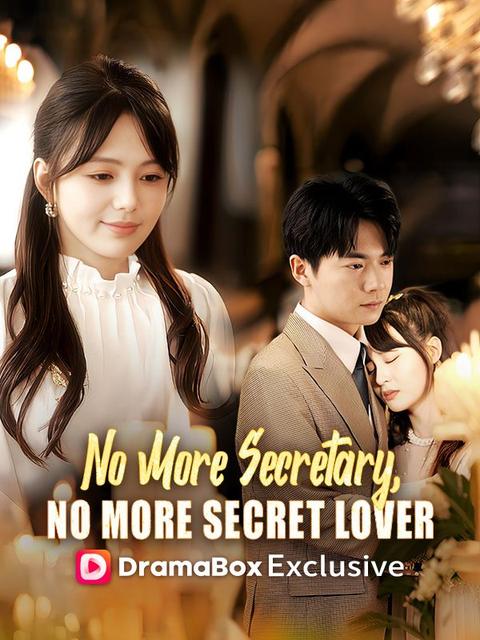 No More Secretary, No More Secret Lover(DUBBED)