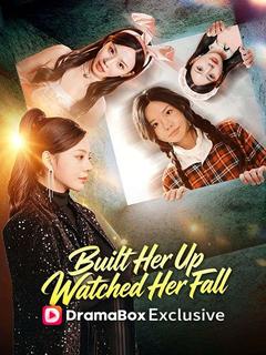 Built Her Up, Watched Her Fall