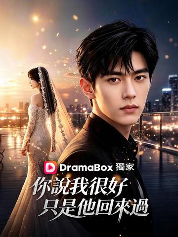 你說我很好,只是他回來過