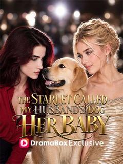 The Starlet Called My Husband's Dog Her Baby
