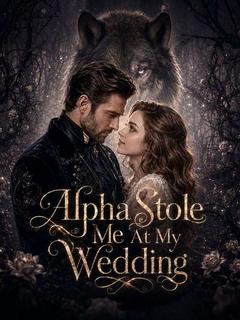 Alpha Stole Me At My Wedding