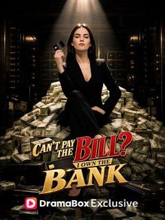 Can't Pay the Bill? I Own the Bank