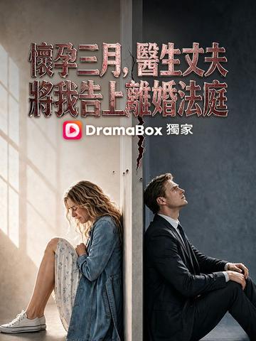 懷孕三月,醫生丈夫將我告上離婚法庭