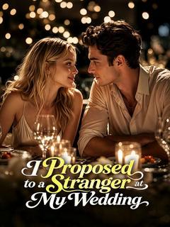 I Proposed to a Stranger at My Wedding-- Season 1