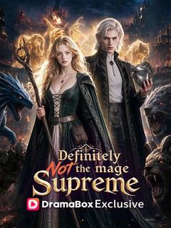 Definitely Not the Mage Supreme
