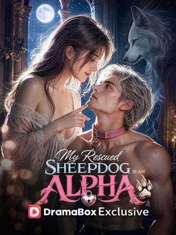 My Rescued Sheepdog is An Alpha King