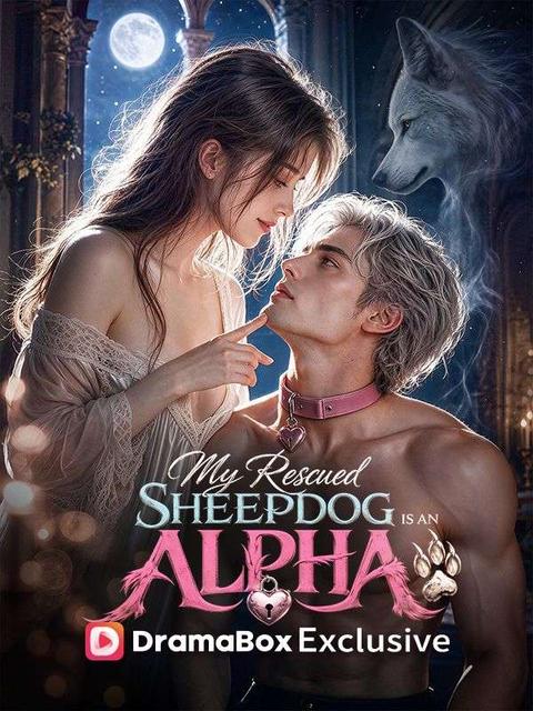 My Rescued Sheepdog is An Alpha King