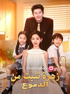 زهرة تنبت من الدموع