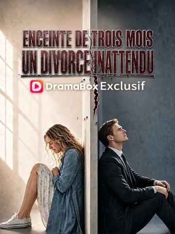 Enceinte de Trois Mois, un Divorce Inattendu