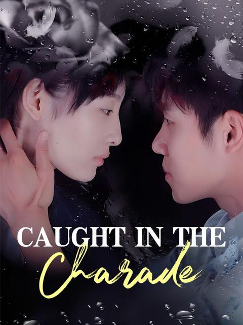 Caught in the Charade(DUBBED)
