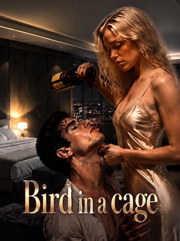 Bird in A Cage poster