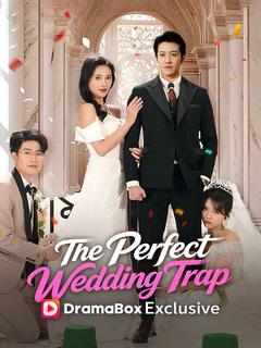 The Perfect Wedding Trap