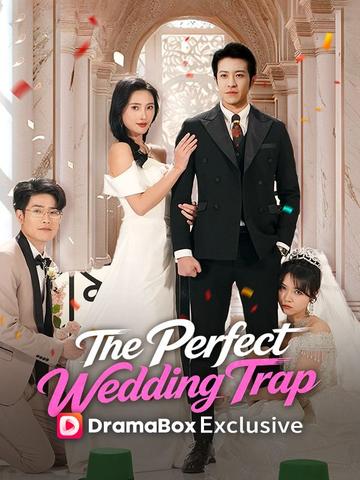 The Perfect Wedding Trap