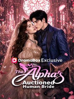 The Alpha's Auctioned Human Bride