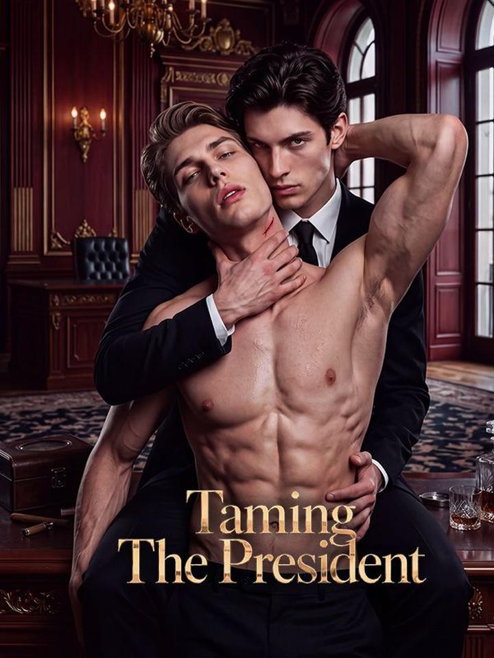 Taming The President poster