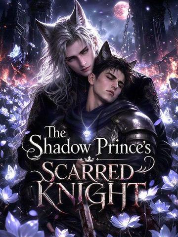 The Shadow Prince’s Scarred Knight