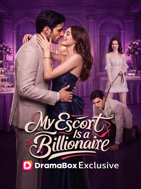 My Escort Is a Billionaire